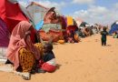 Somalia hosts over 35,000 refugees, asylum-seekers: UNHCR