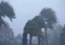 अमेरिका के टेक्सास में तूफान से दो लोगों की मौत, सात घायल