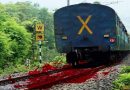 Goods train wagons run over eight workers in Odisha, six killed