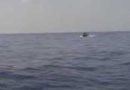 म्यांमार में शरणार्थियों को ले जा रही नाव डूबी, 17 लोगों की मौत
