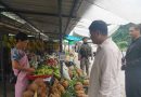 Taste of Meghalaya: 3-day ‘Pineapple Fest’ to begin in Delhi on Aug 18