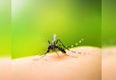 Dengue patient numbers rising in Bengal with every passing day