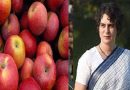 सेब पर आयात शुल्क घटाकर बागवानों के साथ अन्याय कर रहा केंद्र: प्रियंका