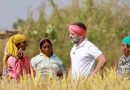 Farm loan waivers: Has Congress used it as poll promise or did it walk the talk?
