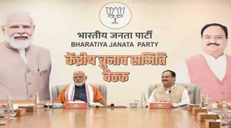BJP CEC meet