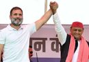 ‘UP Ke Ladke’: Debate rages over Rahul and Akhilesh’s primary focus on ‘own seats’