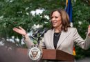 Democrats’ challenge is to quickly translate Kamala Harris’s unshakeable support into nomination