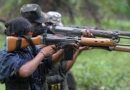 Seven Maoists killed in encounter with police in Telangana