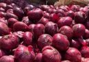 Centre withdraws 20 pc duty on onion exports from April 1