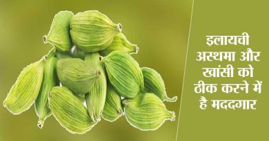 सेहत के लिए वरदान है इलायची, सेवन से होते हैं बड़े-बड़े फायदे