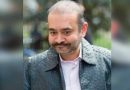 Nirav Modi refused bail fourth time by UK HC due to quantum of scam: ED