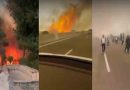 Wildfire