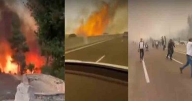 Wildfire