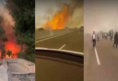 Wildfire