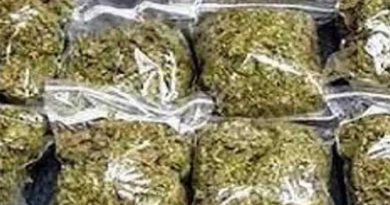 लोहरदगा: पुलिस ने 50 लाख का गांजा किया बरामद, एक गिरफ्तार
