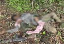 झारखंड के गुमला में मुठभेड़: तीन उग्रवादी ढेर, एके-47 सहित हथियार बरामद